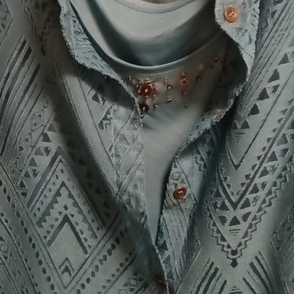 FINAL PRICE alfred dunner teal sheer 2-pc jacket set w brown trim & buttons 14 - Picture 7 of 12